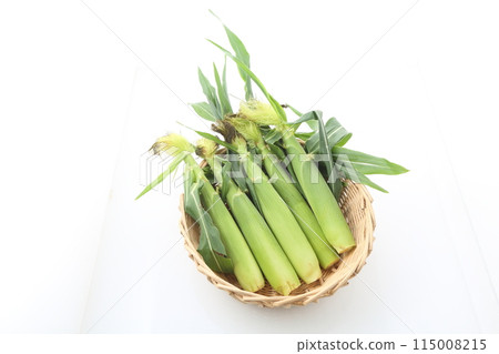 年輕的玉米 115008215