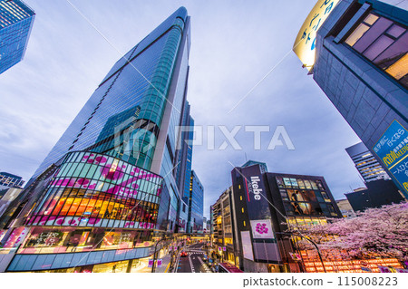 Tokyo cityscape in Japan: Cherry blossoms in full bloom on Sakurazaka in front of Shibuya Sakura Stage SHIBUYA Tower = 5th 115008223