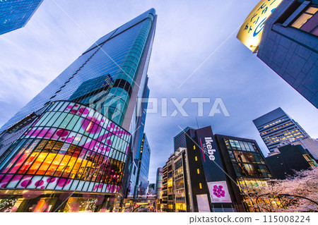 Tokyo cityscape in Japan: Cherry blossoms in full bloom on Sakurazaka in front of Shibuya Sakura Stage SHIBUYA Tower = 5th 115008224
