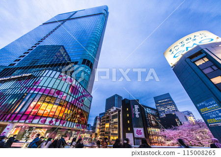 日本東京城市景觀 澀谷櫻花舞台前的櫻坂櫻花盛開 澀谷塔 = 5 樓 115008265