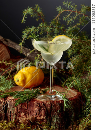 Gin and Tonic cocktail with lemon and rosemary. Gin and Tonic cocktail with lemon and rosemary. 115008817