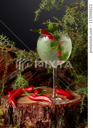 Gin and Tonic cocktail with red pepper and coriander. Gin and Tonic cocktail with red pepper and coriander. 115008822