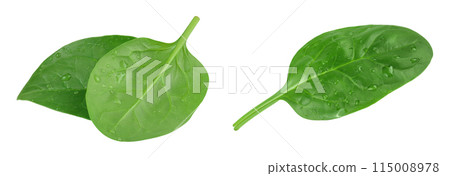 Baby spinach leaves isolated on white background Baby spinach leaves isolated on white background 115008978