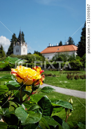 Romantic manor, arboretum Tesarske Mlynany, Slovakia 115009867
