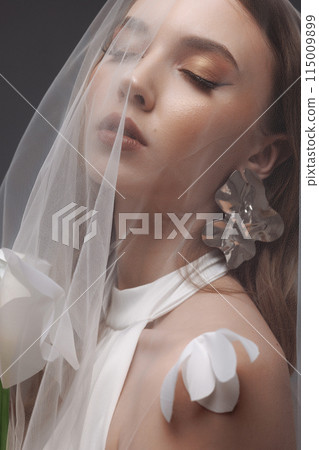 Portrait of a woman in a wedding dress with a veil on her head. 115009899