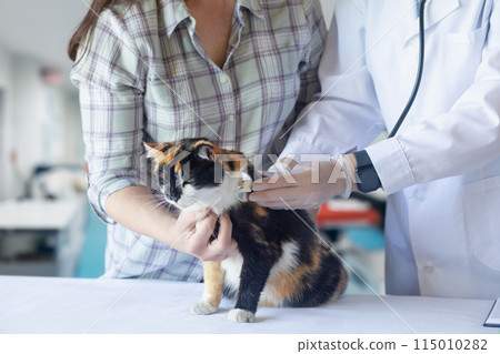 Concepts of diagnosis and treatment of diseases in cats. 115010282