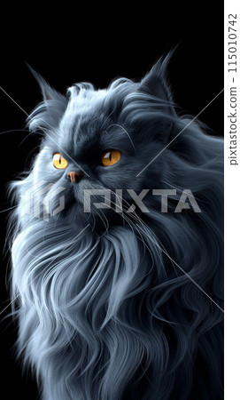 Gray long-haired cat with orange eyes on a black background. 115010742