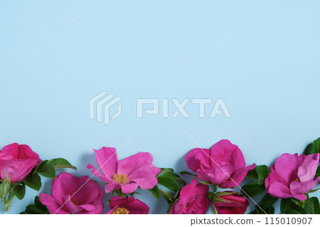 Blue background with rosehip flowers along the bottom edge. Place for your text 115010907