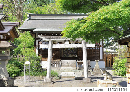 阿蘇三味神社/立川Suitengu 阿蘇三味神社/立川Suitengu 115011164