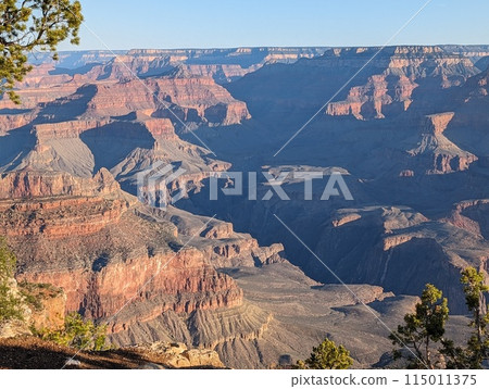 Grand Canyon Morning 115011375