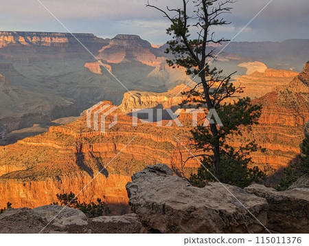 Sunset of the Grand Canyon 115011376