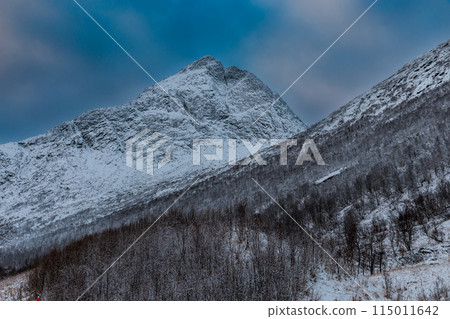 Landscape at the beginning of winter in Gullesfjorden, Lofoten Islands, Norway 115011642