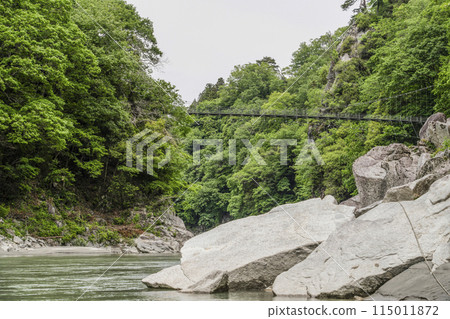 View of Tenryu Gorge from a river boat View of Tenryu Gorge from a river boat 115011872