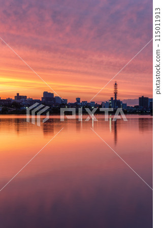 茨城縣水戶市千波湖的火熱早晨 115011913