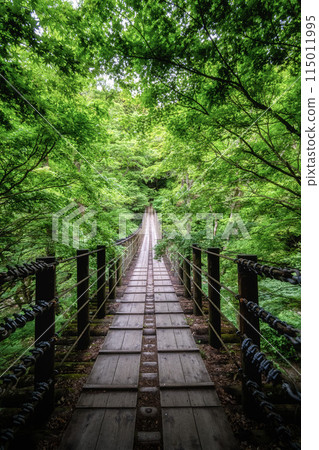 新綠花貫谷潮見瀑布吊橋 新綠花貫谷潮見瀑布吊橋 115011995