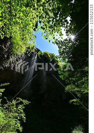 鮮綠的祭壇橋瀑布 115012133