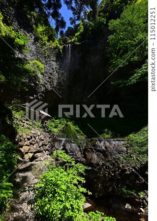 Fresh green of Dankyo Falls Fresh green of Dankyo Falls 115012251