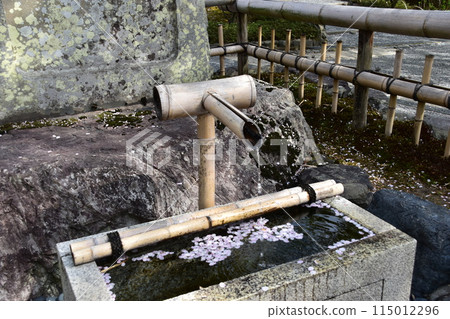 日本春天的京都,世界文化遺產天龍寺,花園裡的獅子,櫻花花瓣漂浮在水坑里 日本春天的京都,世界文化遺產天龍寺,花園裡的獅子,櫻花花瓣漂浮在水坑里 115012296