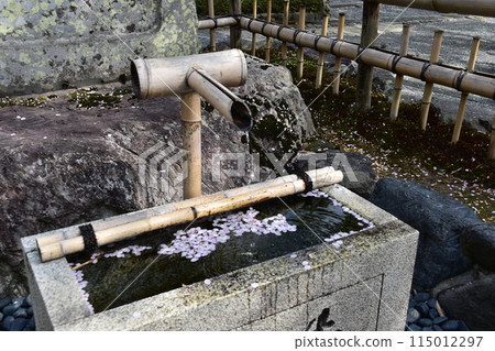 日本春天的京都,世界文化遺產天龍寺,花園裡的獅子,櫻花花瓣漂浮在水坑里 日本春天的京都,世界文化遺產天龍寺,花園裡的獅子,櫻花花瓣漂浮在水坑里 115012297