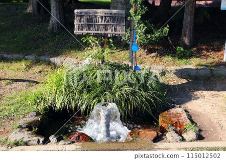 Spring water from Lake Gozu in Kumamoto City 115012502
