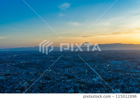 (Kanagawa Prefecture) Cityscape of Yokohama City, Distant view of Mt. Fuji, Evening view 115012896