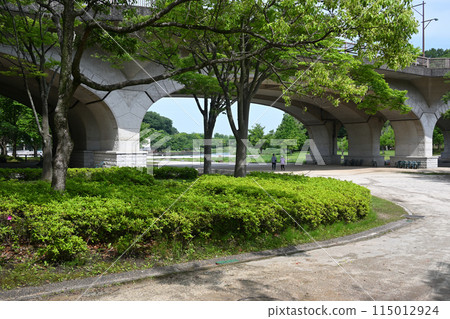 千葉縣松戶市21世紀森林廣場 千葉縣松戶市21世紀森林廣場 115012924