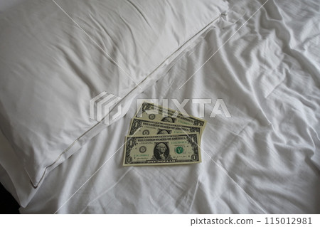 枕頭小費 整理床小費 美元 枕頭小費 整理床小費 美元 115012981