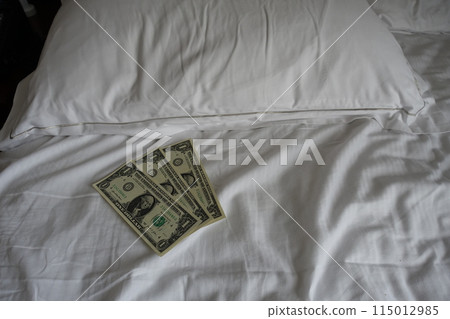 Pillow tip Bed making tip Dollar 115012985