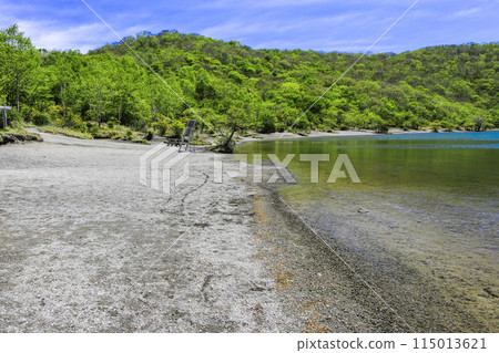 Fresh greenery on Mount Choshichiro and Lake Konuma Fresh greenery on Mount Choshichiro and Lake Konuma 115013621