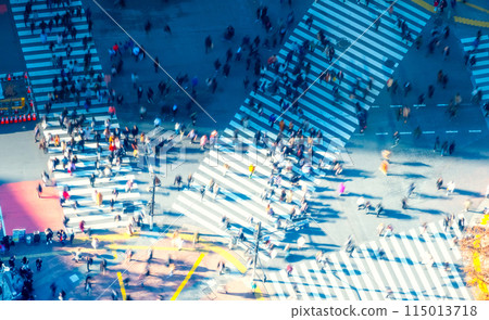 Tokyo Shibuya Scramble Crossing Tokyo Shibuya Scramble Crossing 115013718