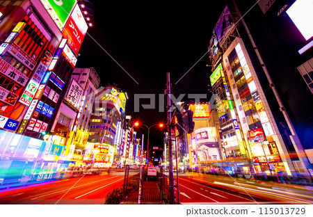 Kabukicho night view 2024 115013729