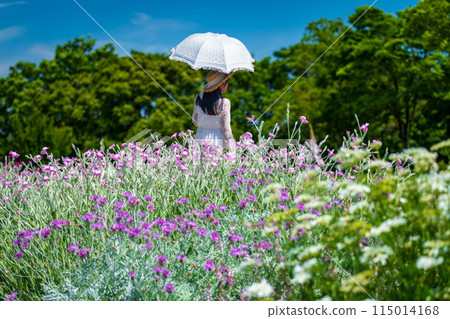 Early summer wind 115014168