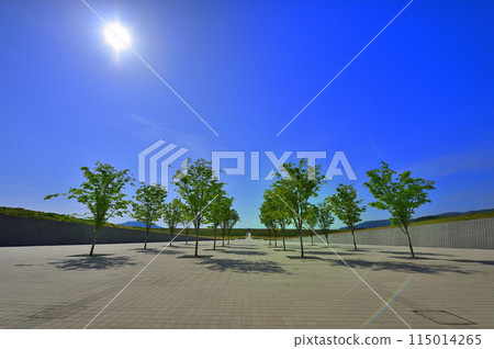 道之站高田松原（岩手縣陸前高田市） 115014265