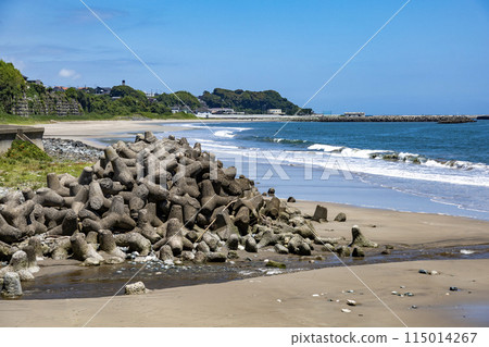 茨城縣日立市香魚河口沿岸 115014267