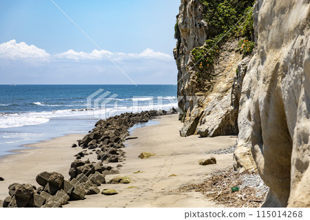 茨城縣日立市香魚河口沿岸 115014268