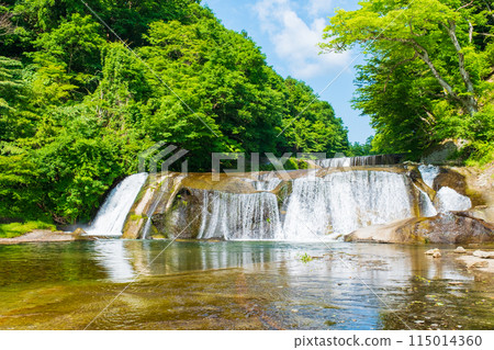 Shigetsu Otaki 115014360