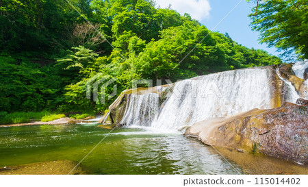 Shigetsu Otaki 115014402