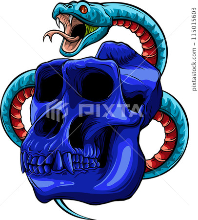 colored draw of monkey skull vector illustration design colored draw of monkey skull vector illustration design 115015603