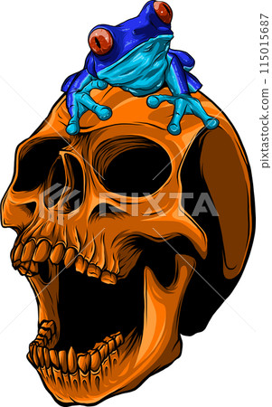 colored draw of human skull vector illustration design colored draw of human skull vector illustration design 115015687