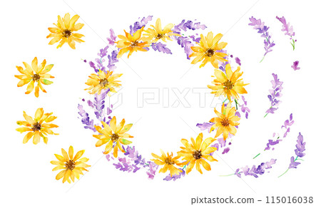 水彩。帶有水彩觸感的薰衣草插圖。薰衣草向量圖。夏季薰衣草背景。 115016038