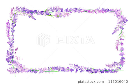 水彩。帶有水彩觸感的薰衣草插圖。薰衣草向量圖。夏季薰衣草背景。 水彩。帶有水彩觸感的薰衣草插圖。薰衣草向量圖。夏季薰衣草背景。 115016040