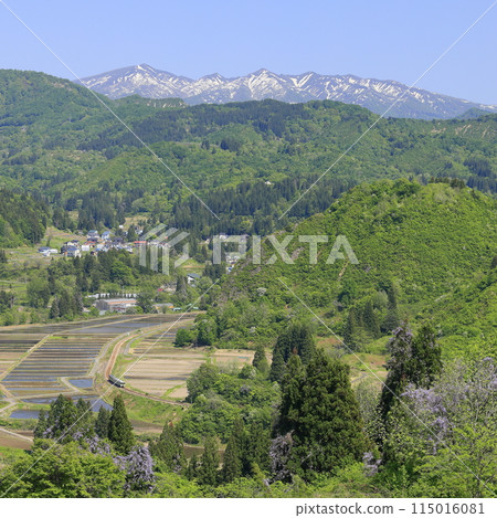 新鮮的綠色Tadami線 115016081