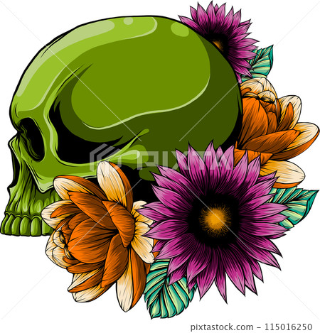 colored draw of human skull vector illustration design colored draw of human skull vector illustration design 115016250
