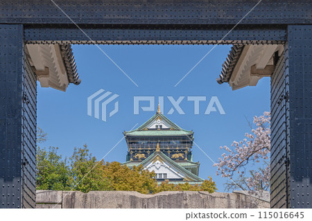 [Cherry Blossoms] Osaka Castle Park in spring - Osaka Castle tower seen from Sakuramon Gate 115016645