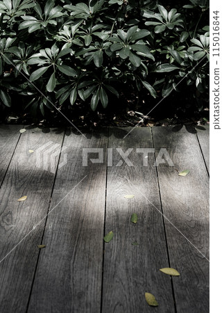 Wooden path pavement design exterior with shadow fallen leaves and green plant nature background. 115016844