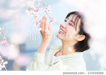 Woman looking at cherry blossoms Woman admiring cherry blossoms 115016888