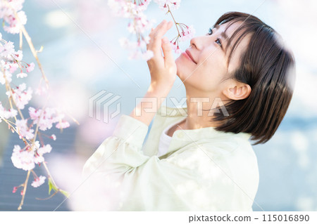 Woman looking at cherry blossoms Woman admiring cherry blossoms Woman looking at cherry blossoms Woman admiring cherry blossoms 115016890