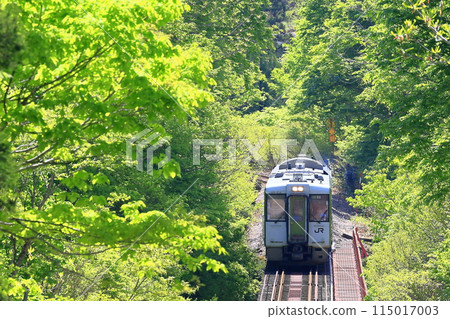 新鮮的綠色Tadami線 新鮮的綠色Tadami線 115017003