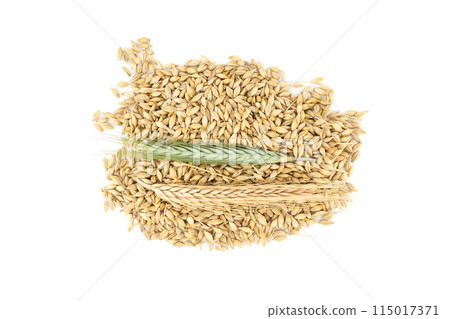 Barley seeds with the outer husk ears over white 115017371