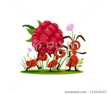 Cartoon ants carry a raspberry. Vector pest characters stock up food. Funny insect colony personages with ripe berry on summer lawn. Termites or bugs working together on in natural summer environment Cartoon ants carry a raspberry. Vector pest characters stock up food. Funny insect colony personages with ripe berry on summer lawn. Termites or bugs working together on in natural summer environment 115018317